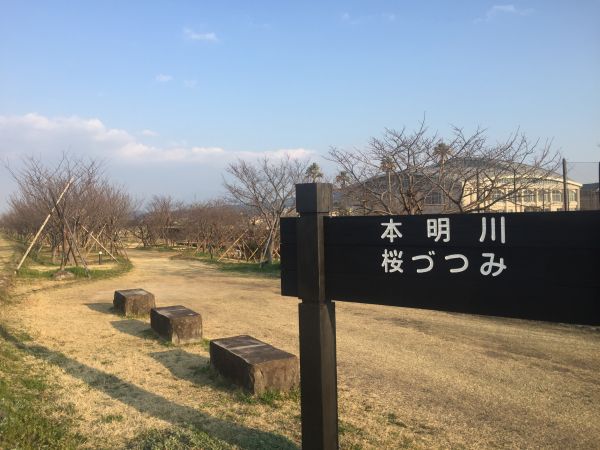本明川桜づつみ（諫早市）【4名様から】【花見】