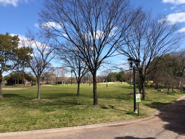 大中公園（大和高田市）-花見