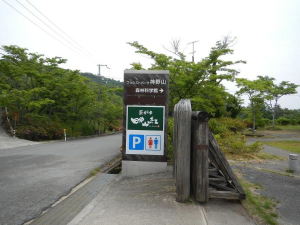 フォレストパーク神野山　藤井寺市立自然野外活動センター　（山辺郡）-花見