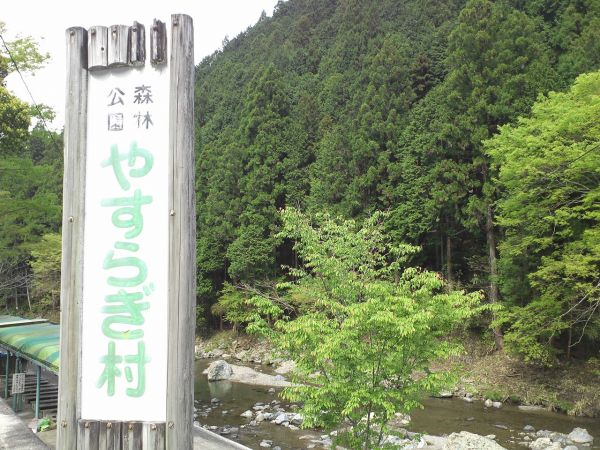 下市町立森林公園やすらぎ村（吉野郡下市町）-花見