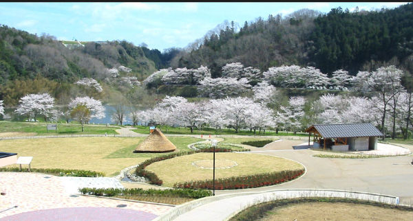 カントリーパーク大川（山辺郡）-花見