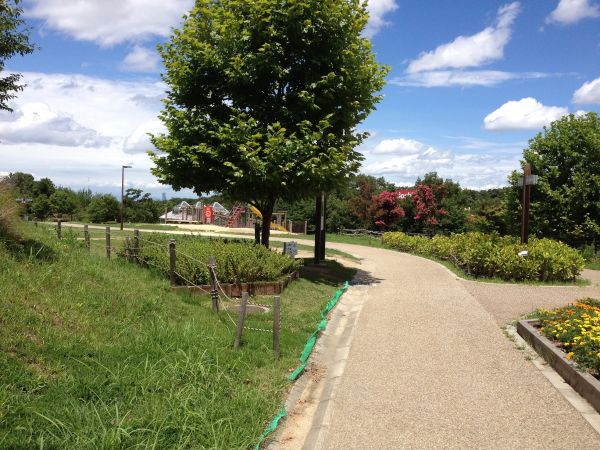 道の駅 しらとりの郷・羽曳野（羽曳野市）