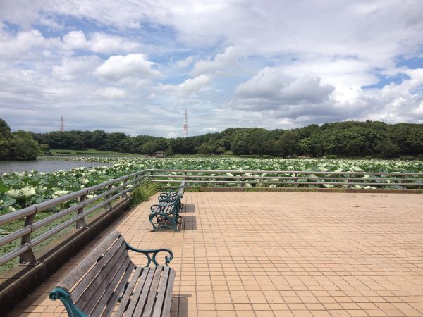 大泉緑地（堺市北区）