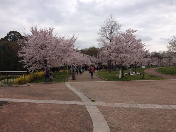 山田池公園（枚方市）