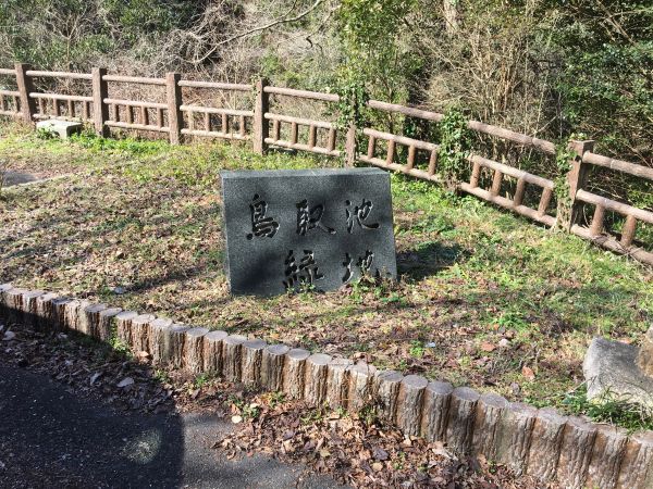 鳥取池緑地 桜の園（阪南市）