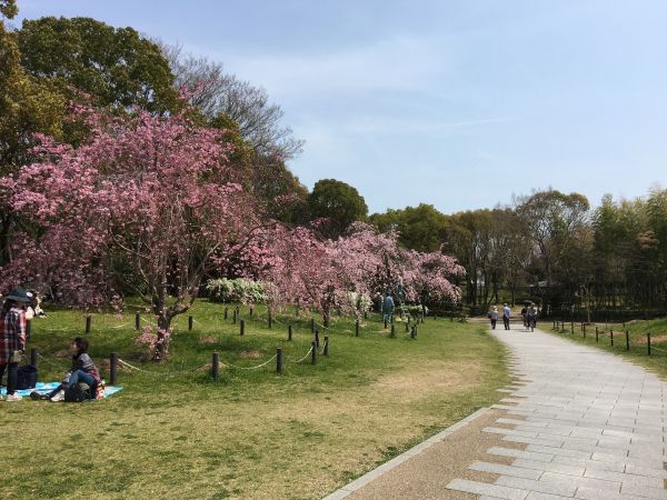 大仙公園（堺市堺区）