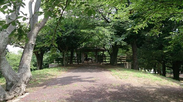 宇和田公園 (幸手市)　バーベキュー場