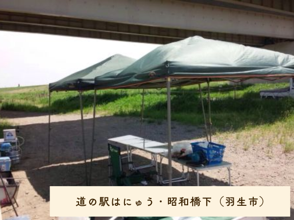 道の駅はにゅう・昭和橋下（羽生市）