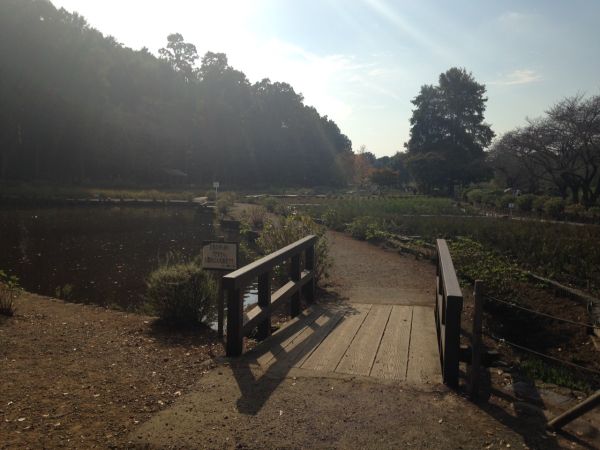 上尾丸山公園　上尾市