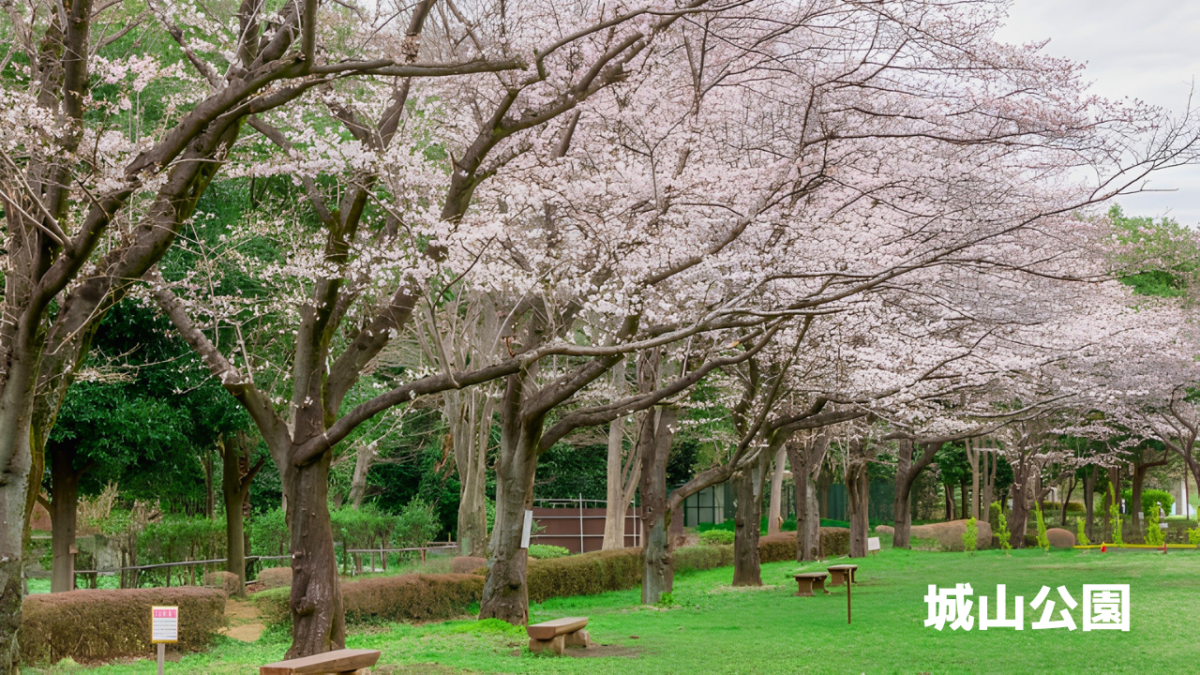 城山公園