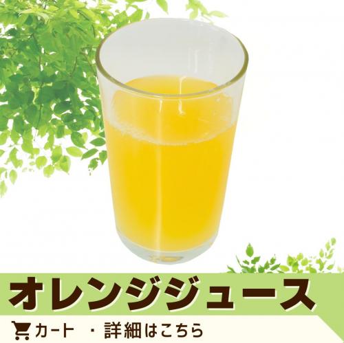 オレンジジュース（ペットボトル）/