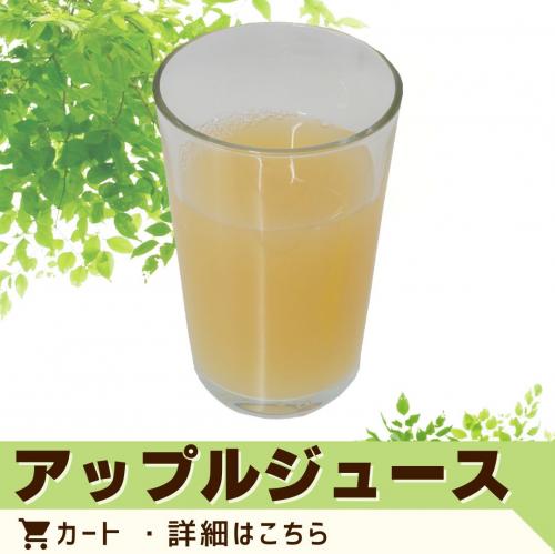 アップルジュース（ペットボトル）/