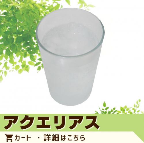 アクエリアス　（ペットボトル）/