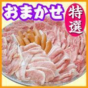 おまかせBBQ特選コース6名~14名(高知東部)