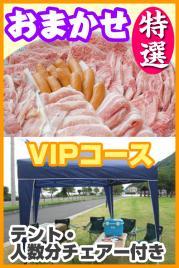 おまかせBBQ特選 VIPコース15名~29名(高知東部)