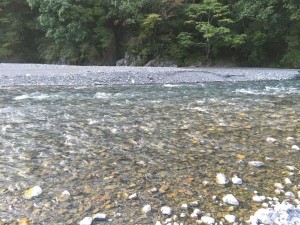 IMG_2988