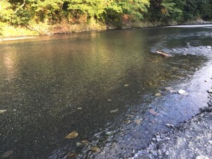 IMG_3025