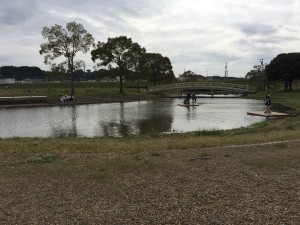 IMG_4011