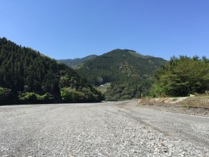 IMG_4205
