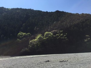 IMG_4206