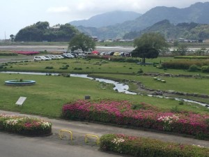 IMG_4284