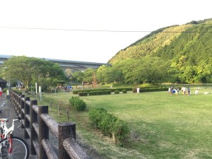 IMG_4542