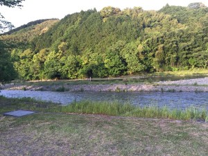 IMG_4551