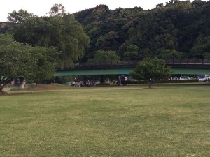 IMG_4565
