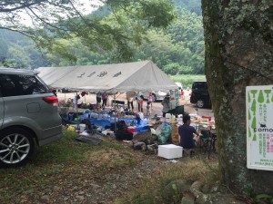 IMG_5233