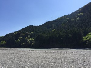 IMG_4207