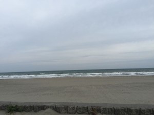 IMG_4335