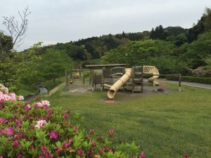 IMG_4357
