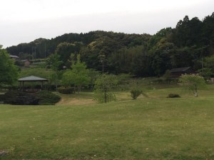 IMG_4363
