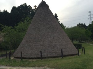 IMG_4364