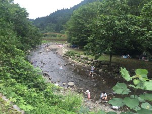 IMG_5241