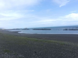 IMG_5481