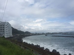 IMG_5491