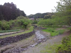 NEC_0153