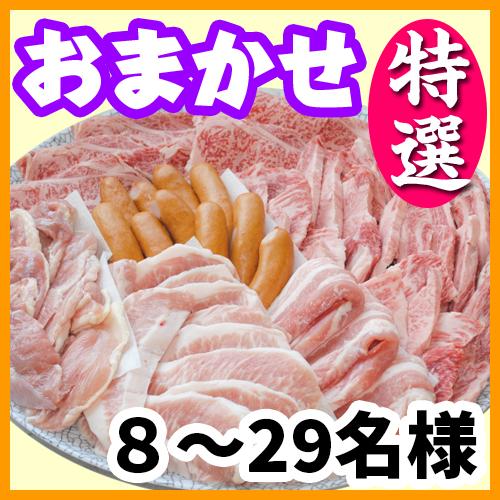 おまかせBBQ特選コース8名～29名（税別）/