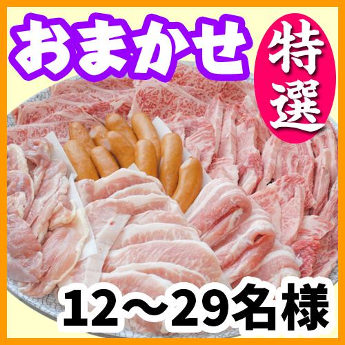 おまかせBBQ特選コース10名～29名（税別）/