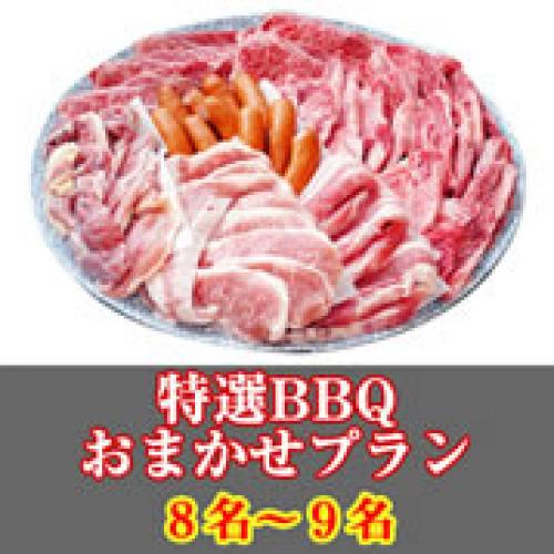 【017】特選おまかせBBQコース８名～９名（お一人様3490円）/