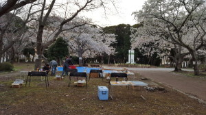 お花見　バーベキュー