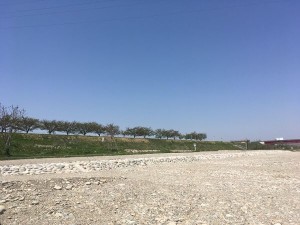 IMG_2787