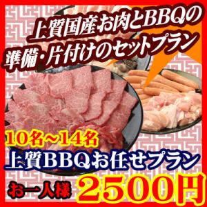 お任せ出張片付けBBQ上質コース10名～14名（お一人様2500円）/