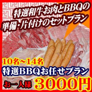 お任せ出張片付けBBQ特選コース10名～14名（お一人様3000円）/