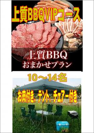 お任せ出張片付け上質BBQＶＩＰコース10名～14名（お一人様3300円）/