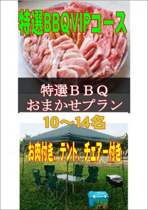 お任せ出張片付け特選BBQＶＩＰコース10名～14名（お一人様3800円）/