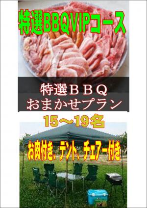 お任せ出張片付け特選BBQＶＩＰコース15名～19名（お一人様3700円）/