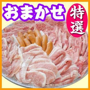 【ho－13】お任せ出張片付けBBQ特選コース10名～14名（お一人様4300円）/