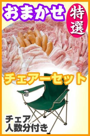 【ho－26】お任せ出張片付け特選BBQチェアコース６名～7名（お一人様5100円）/